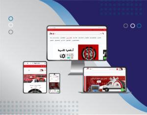 Data web design ١١ 300x235